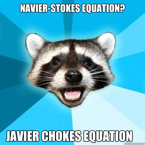 Navier-stokes equation? Javier chokes equation - Navier-stokes equation? Javier chokes equation  Lame Pun Coon on Camping