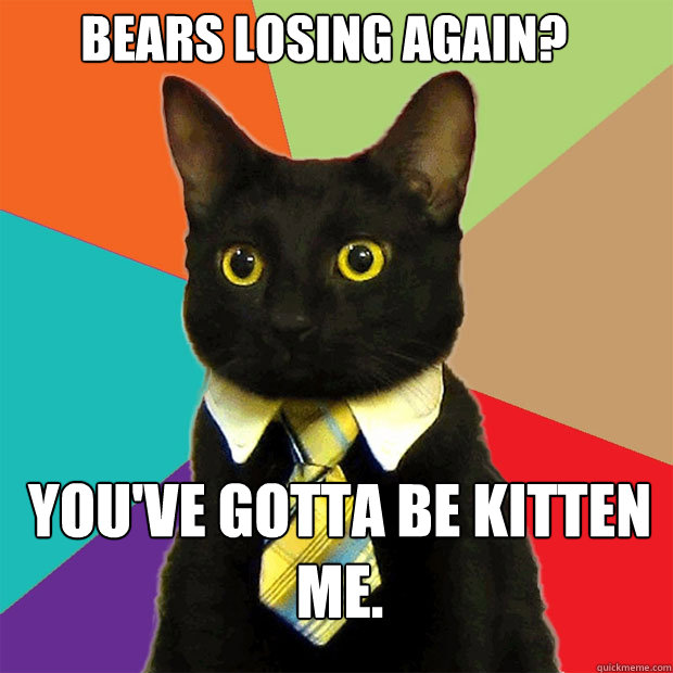 Bears losing again? you've gotta be kitten me.  Business Cat