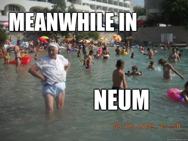 MEANWHILE IN NEUM - MEANWHILE IN NEUM  Misc