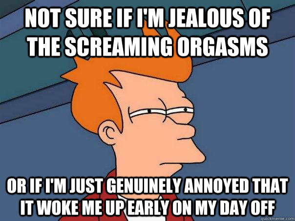 Not sure if I'm jealous of the screaming orgasms or if i'm just genuinely annoyed that it woke me up early on my day off - Not sure if I'm jealous of the screaming orgasms or if i'm just genuinely annoyed that it woke me up early on my day off  Futurama Fry