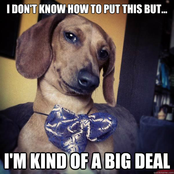 I don't know how to put this but... I'm kind of a big deal  Big Deal Dachshund