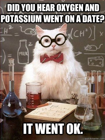  Did you hear oxygen and potassium went on a date? It went ok.  Chemistry Cat