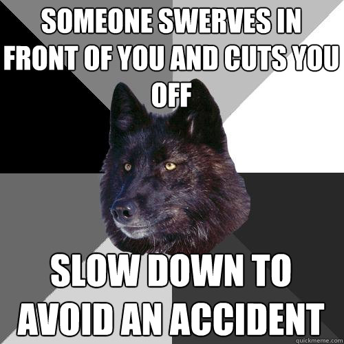 someone swerves in front of you and cuts you off slow down to avoid an accident  Sanity Wolf