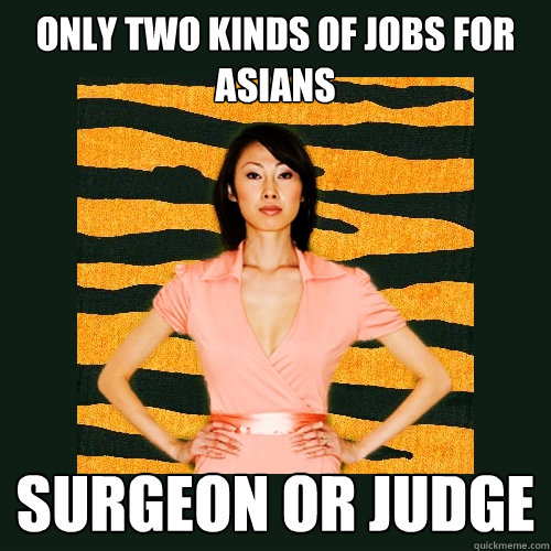 only two kinds of jobs for asians  surgeon or judge  Tiger Mom