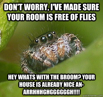 Don't worry, I've made sure your room is free of flies Hey whats with the broom? your house is already nice an- ARRHHHGHGGGGGGH!!!!  Misunderstood Spider