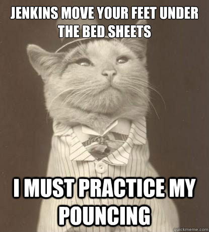 Jenkins move your feet under the bed sheets i must practice my pouncing  Aristocat