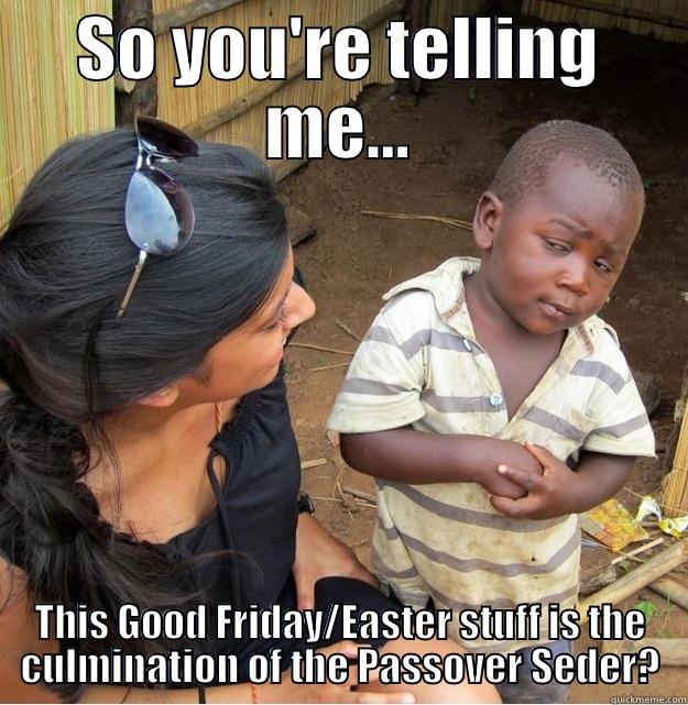 SO YOU'RE TELLING ME... THIS GOOD FRIDAY/EASTER STUFF IS THE CULMINATION OF THE PASSOVER SEDER? Skeptical Third World Kid