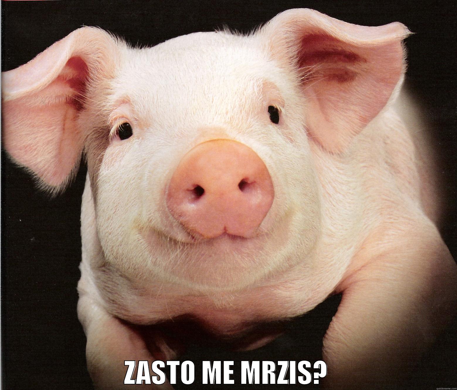  ZASTO ME MRZIS? Misc