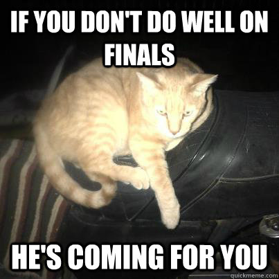 IF you don't do well on finals he's coming for you  motorcycle cat