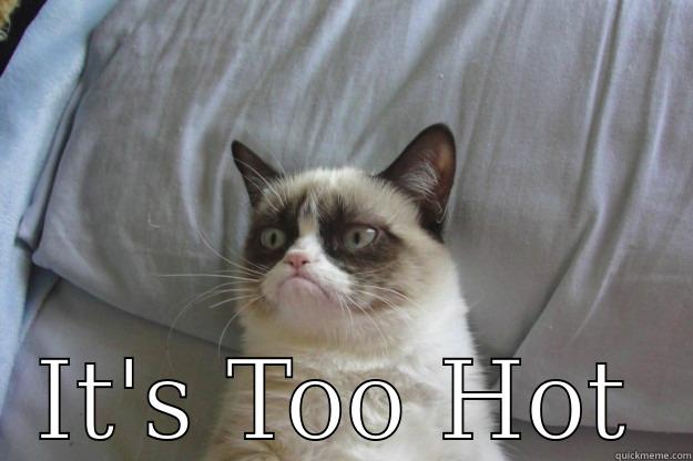  IT'S TOO HOT Grumpy Cat