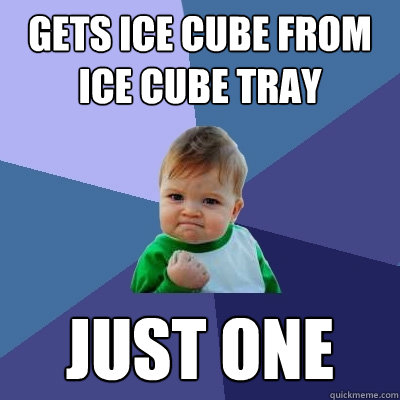 Gets ice cube from ice cube tray just one  Success Kid