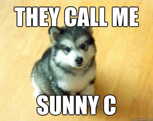 they call me sunny C  Baby Courage Wolf