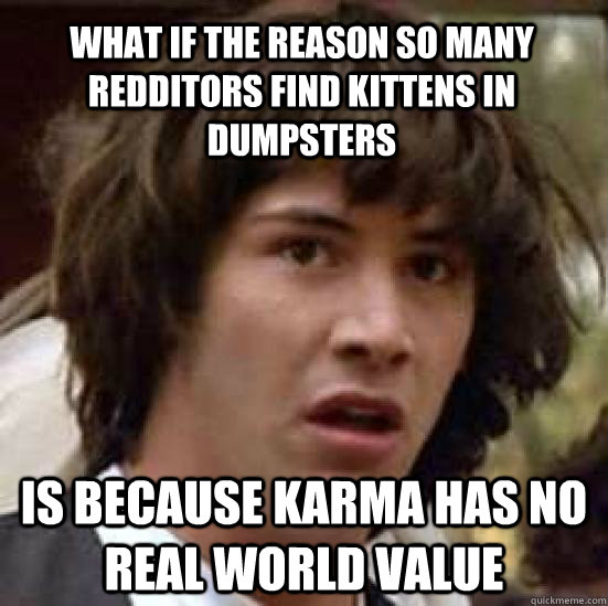 what if the reason so many redditors find kittens in dumpsters  is because karma has no real world value  conspiracy keanu