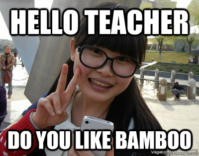 HELLO TEACHER DO YOU LIKE BAMBOO  Chinese girl Rainy