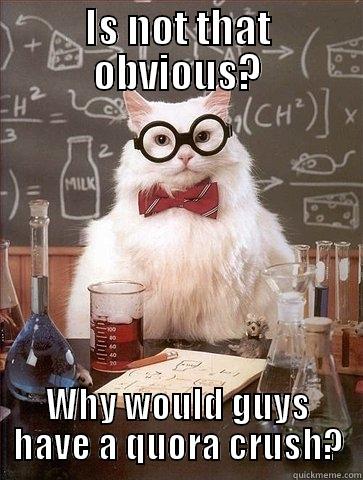 IS NOT THAT OBVIOUS? WHY WOULD GUYS HAVE A QUORA CRUSH? Chemistry Cat