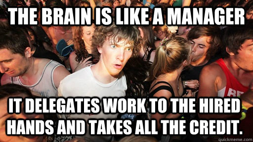 The brain is like a manager It delegates work to the hired hands and takes all the credit. - The brain is like a manager It delegates work to the hired hands and takes all the credit.  Sudden Clarity Clarence