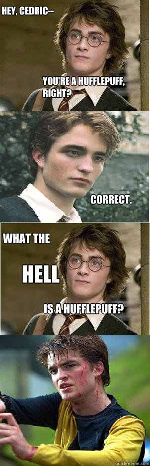 hey, cedric-- correct. what the hell is a hufflepuff? you're a hufflepuff, right?  Harry and Cedric