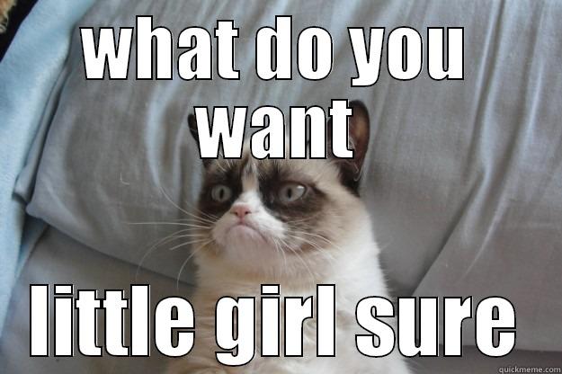 WHAT DO YOU WANT LITTLE GIRL SURE Grumpy Cat