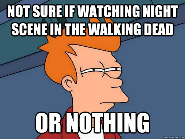 Not sure if watching night scene in the walking dead or nothing  Futurama Fry