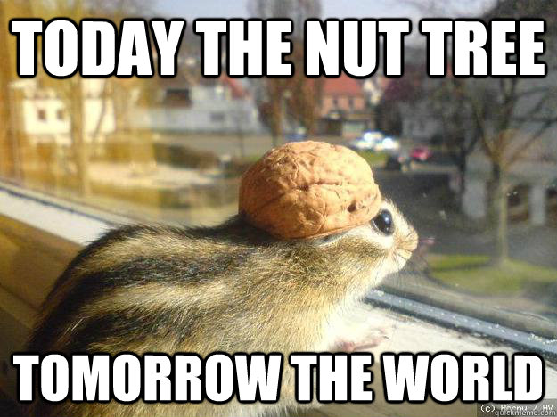 today the nut tree tomorrow the world - today the nut tree tomorrow the world  Adventure Chipmunk