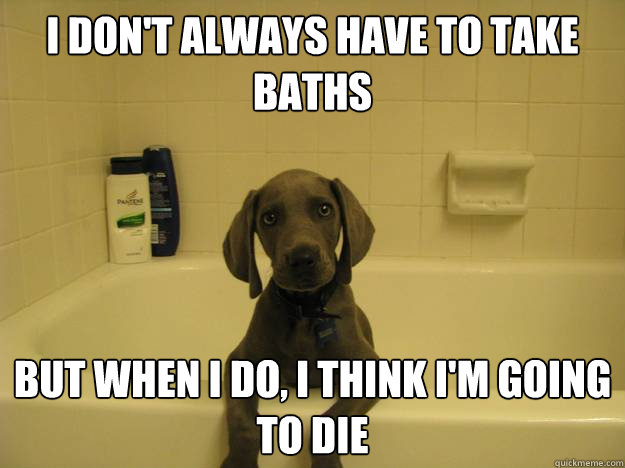 i don't always have to take baths but when i do, i think i'm going to die - i don't always have to take baths but when i do, i think i'm going to die  Misc