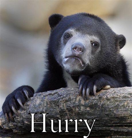  HURRY Confession Bear