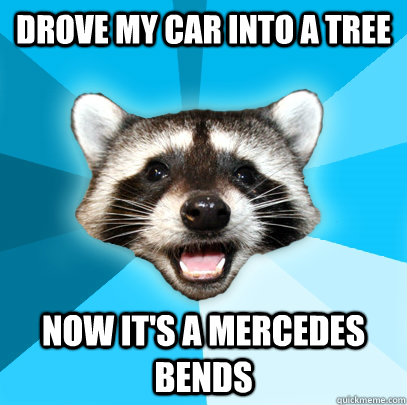 DROVE MY CAR INTO A TREE NOW IT'S A MERCEDES BENDS  Lame Pun Coon