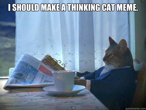 I should make a thinking cat meme.  - I should make a thinking cat meme.   The One Percent Cat