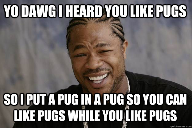 yo dawg i heard you like pugs so i put a pug in a pug so you can like pugs while you like pugs  Xzibit meme