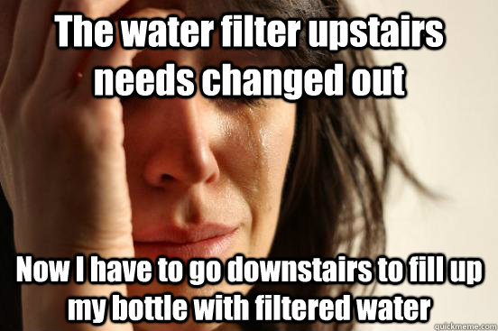 The water filter upstairs needs changed out  Now I have to go downstairs to fill up my bottle with filtered water - The water filter upstairs needs changed out  Now I have to go downstairs to fill up my bottle with filtered water  First World Problems