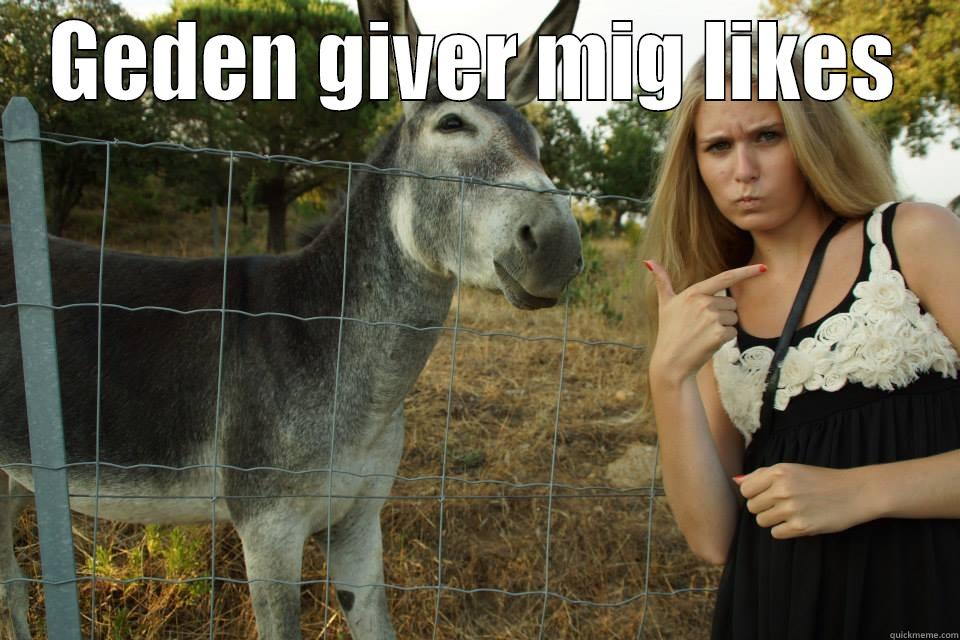 GEDEN GIVER MIG LIKES  Misc