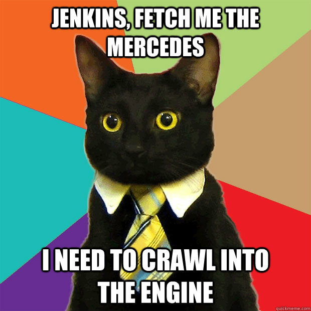 Jenkins, fetch me the mercedes i need to crawl into        the engine  Business Cat