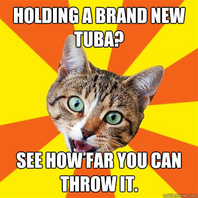 Holding a brand new tuba? See how far you can throw it.  Bad Advice Cat