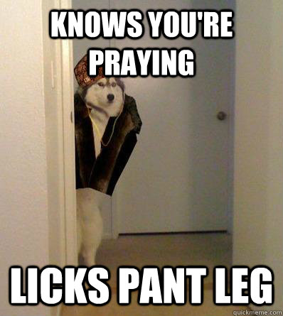 KNOWS YOU'RE PRAYING  LICKS PANT LEG  Scumbag dog