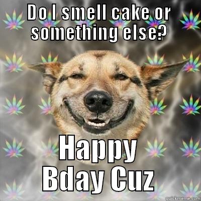 DO I SMELL CAKE OR SOMETHING ELSE? HAPPY BDAY CUZ Stoner Dog