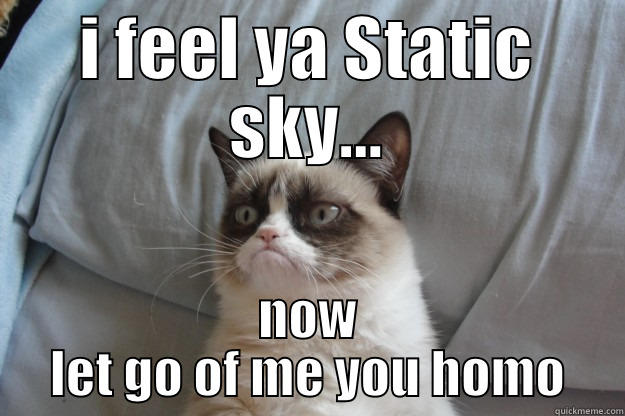 I FEEL YA STATIC SKY... NOW LET GO OF ME YOU HOMO Grumpy Cat