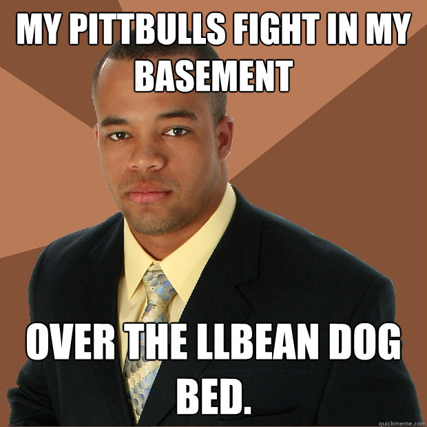 my pittbulls fight in my basement over the llbean dog bed.  Successful Black Man