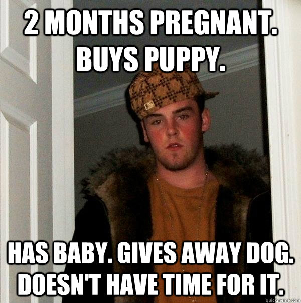 2 months pregnant. Buys puppy. Has baby. Gives away dog. Doesn't have time for it. - 2 months pregnant. Buys puppy. Has baby. Gives away dog. Doesn't have time for it.  Scumbag Steve