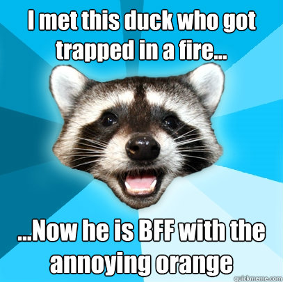 I met this duck who got trapped in a fire... ...Now he is BFF with the annoying orange - I met this duck who got trapped in a fire... ...Now he is BFF with the annoying orange  Lame Pun Coon