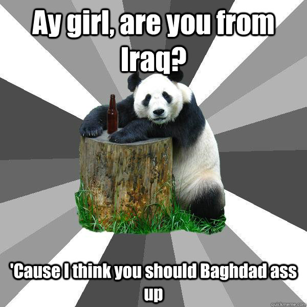 Ay girl, are you from Iraq?  'Cause I think you should Baghdad ass up   Pickup-Line Panda