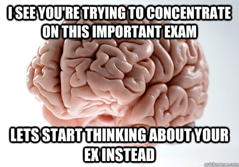 I see you're trying to concentrate on this important exam Lets start thinking about your ex instead  Scumbag Brain