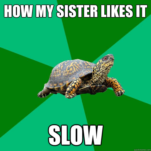 How my sister likes it SLOW  Torrenting Turtle