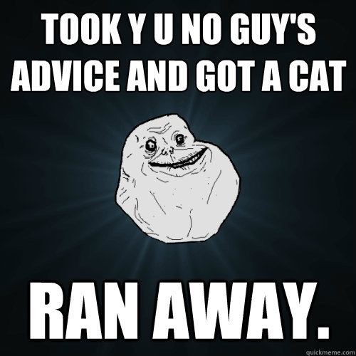 Took Y U No Guy's advice and got a cat RAN AWAY.   Forever Alone