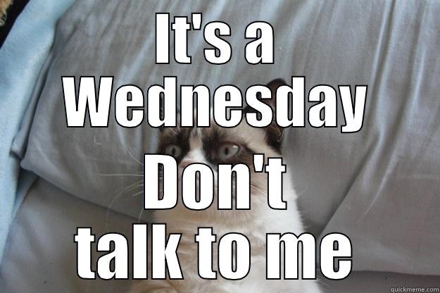 IT'S A WEDNESDAY DON'T TALK TO ME Grumpy Cat