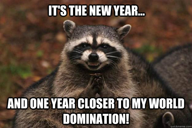 It's the New Year... and one year closer to my world domination!  Evil Plotting Raccoon