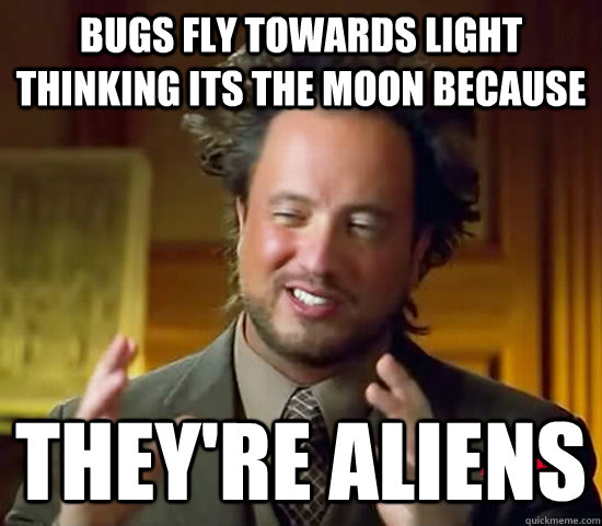 Bugs fly towards light thinking its the moon because They're Aliens  Ancient Aliens