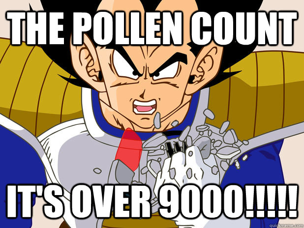 THE POLLEN COUNT It's OVER 9000!!!!! - THE POLLEN COUNT It's OVER 9000!!!!!  Exaggeration Over 9000