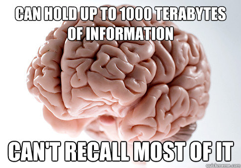 Can hold up to 1000 terabytes of information can't recall most of it  Scumbag Brain