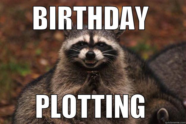 Plotting Birthday Ninja Surprise - BIRTHDAY PLOTTING Evil Plotting Raccoon