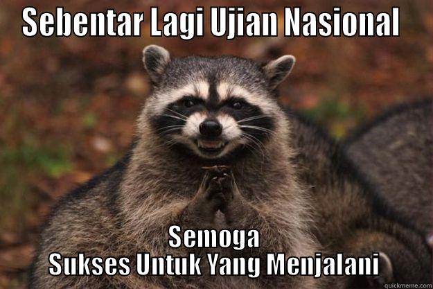 SEBENTAR LAGI UJIAN NASIONAL  SEMOGA SUKSES UNTUK YANG MENJALANI Evil Plotting Raccoon